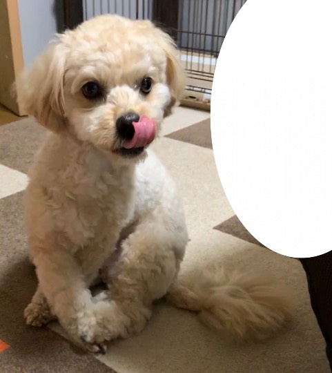 生き物ルーム第42