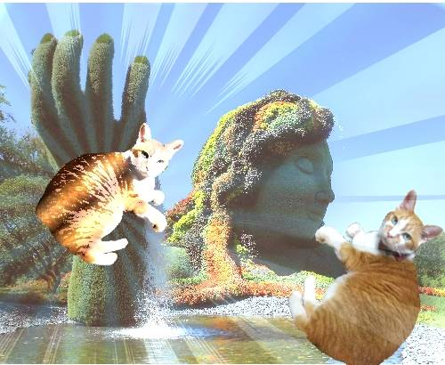 EGG'S CAFE 　Cha 茶 ちゃ♪