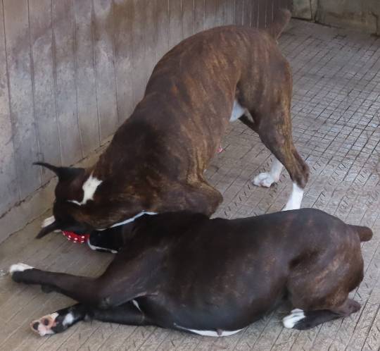 生き物ルーム第42