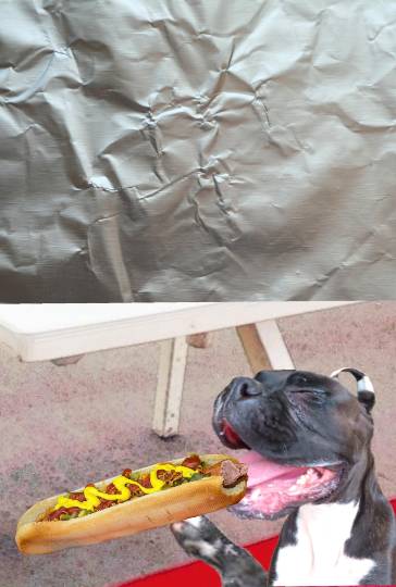 生き物ルーム第43