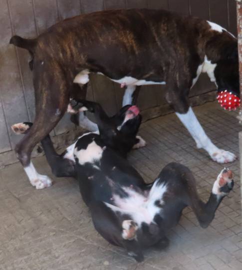 生き物ルーム第44