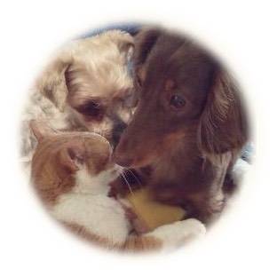 生き物ルーム第44