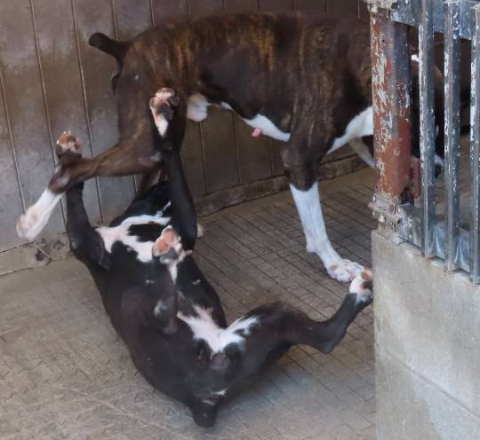 生き物ルーム第44