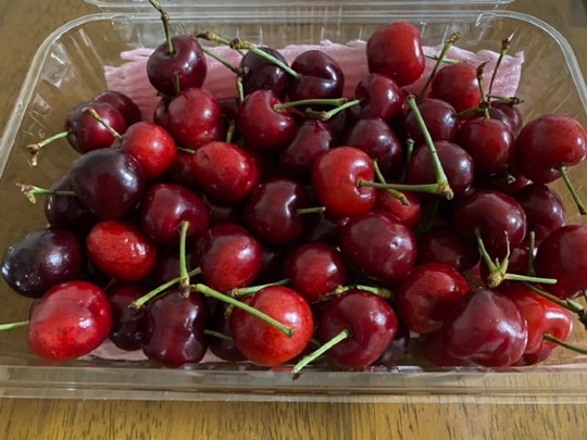 ★ドンキ♡♡ロピア 雑談30★