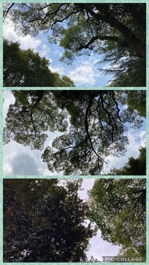 あつまれ‼︎ 雑談&ゲーム好きの森 season2 おしゃべりしよっさ♪♪