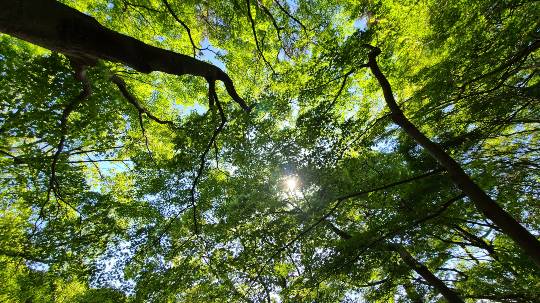 つぶやきトピック その58