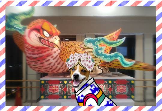 生き物ルーム第42