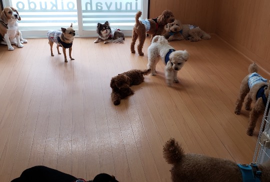 生き物ルーム第44