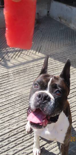 生き物ルーム第42