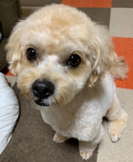 生き物ルーム第45