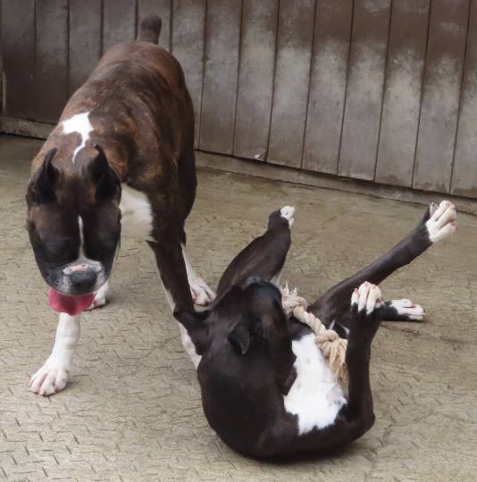 生き物ルーム第45