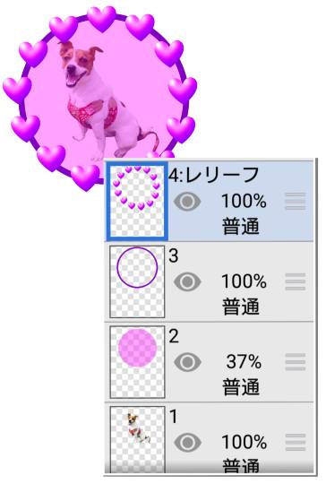 生き物ルーム第45