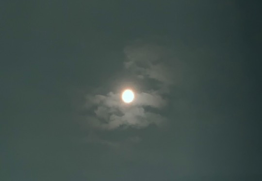 ★ドンキ♡♡ロピア 雑談37★