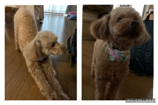 生き物ルーム第45