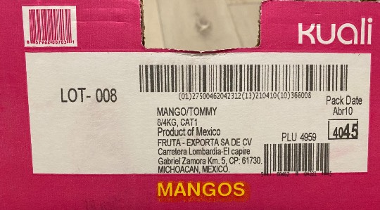 マンゴーについて