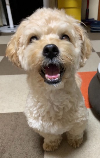 生き物ルーム第45