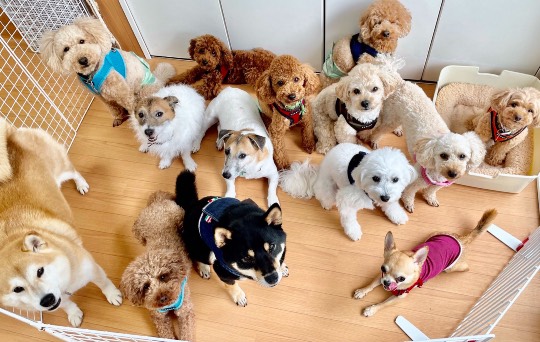 生き物ルーム第45