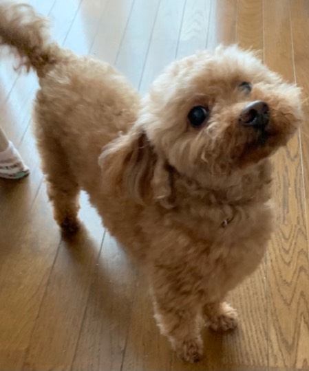 生き物ルーム第44