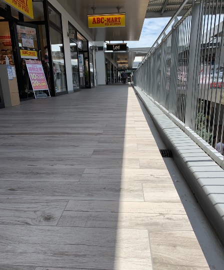 生き物ルーム第45