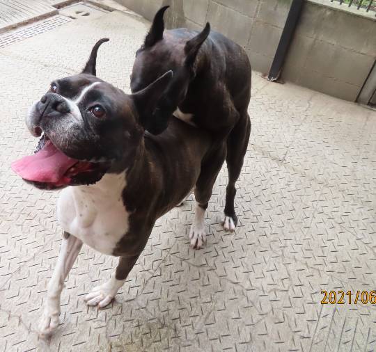 生き物ルーム第45