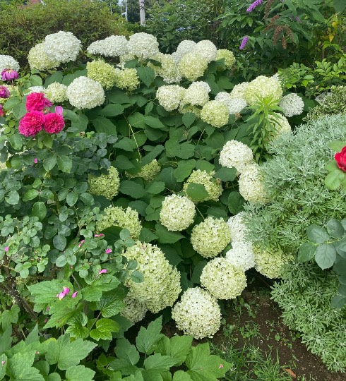 ◆(12)関西版 雑談◆〜関西以外の方も話の輪にどうぞ♪