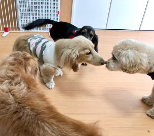 生き物ルーム第45