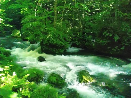 マスク同窓会詰所兼ニューフェイス歓迎所25(笑い場所)