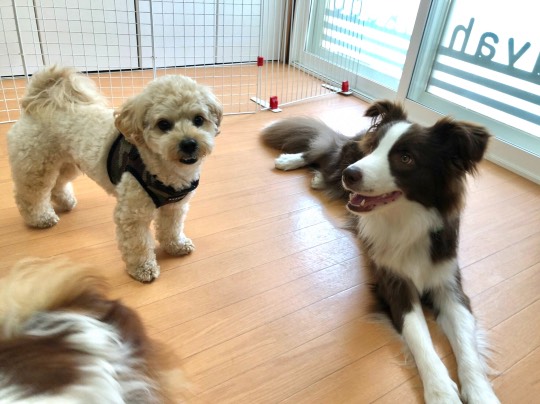 生き物ルーム第45