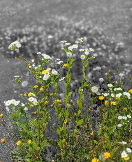 雑談お絵描き部❾　画像関係よろず