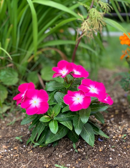 雑談お絵描き部❾　画像関係よろず