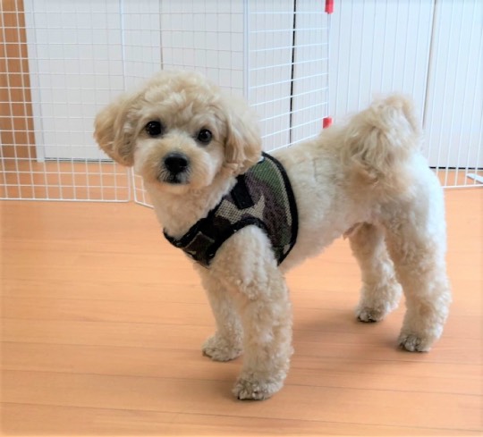 生き物ルーム第44