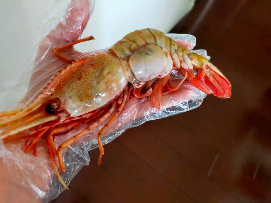 6月24日(木曜日)　広島倉庫店｜オイコスヨーグルトあれば行きたいなと思う...