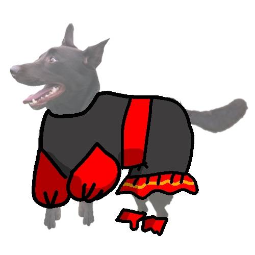 生き物ルーム第45