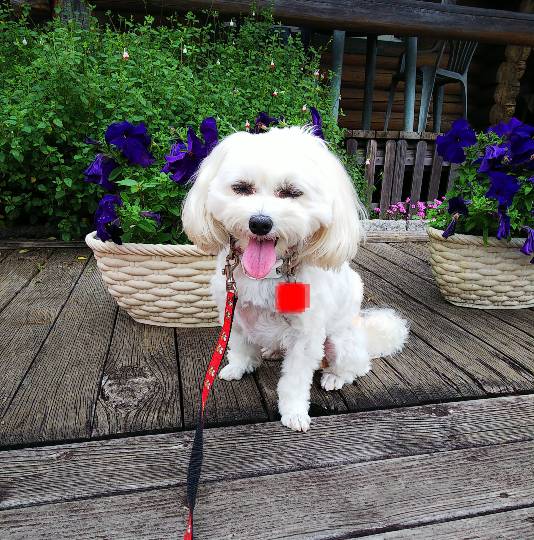 生き物ルーム第45