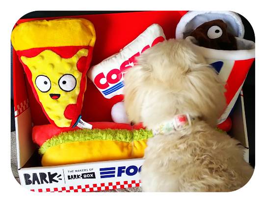 生き物ルーム第44