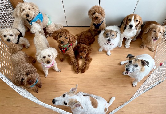 生き物ルーム第45