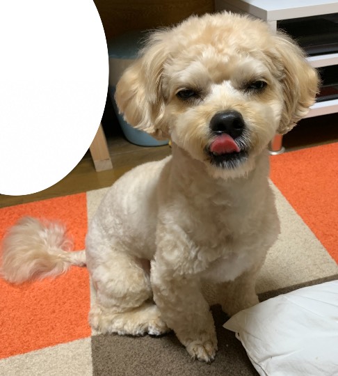 生き物ルーム第45