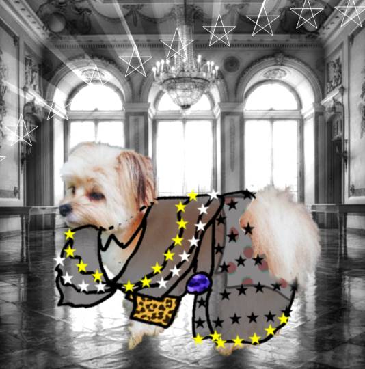 生き物ルーム第45