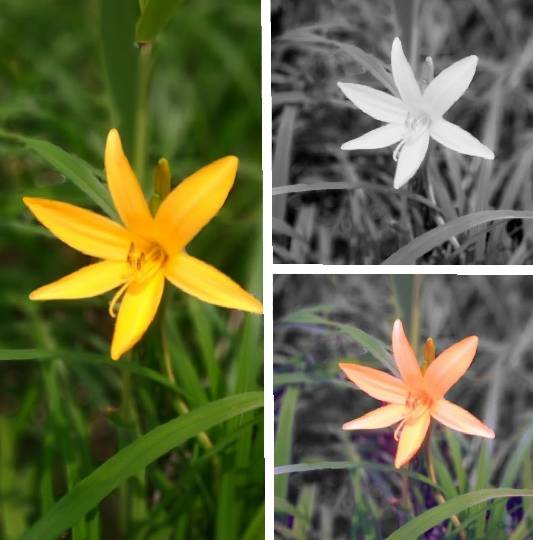 雑談お絵描き部❾　画像関係よろず