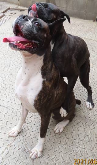 生き物ルーム第45