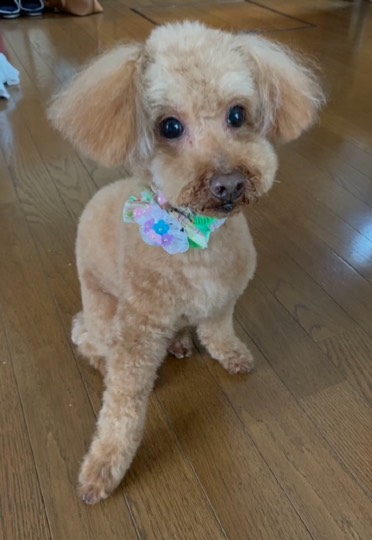 生き物ルーム第44