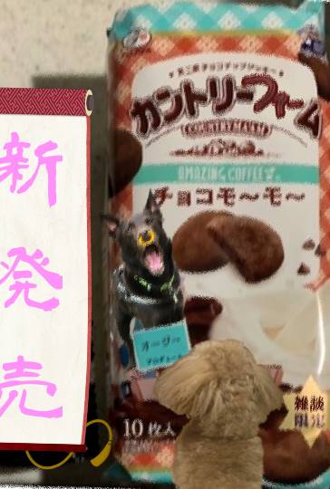 生き物ルーム第44