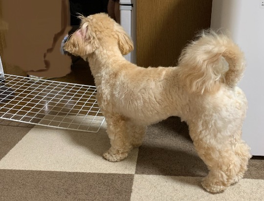 生き物ルーム第44