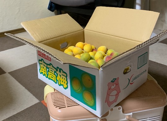 生き物ルーム第45