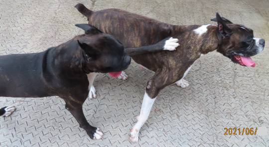 生き物ルーム第45