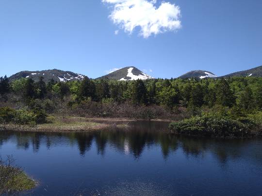 マスク同窓会詰所兼ニューフェイス歓迎所25(笑い場所)