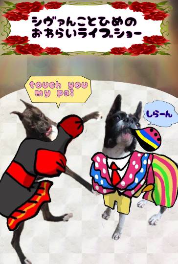 生き物ルーム第45