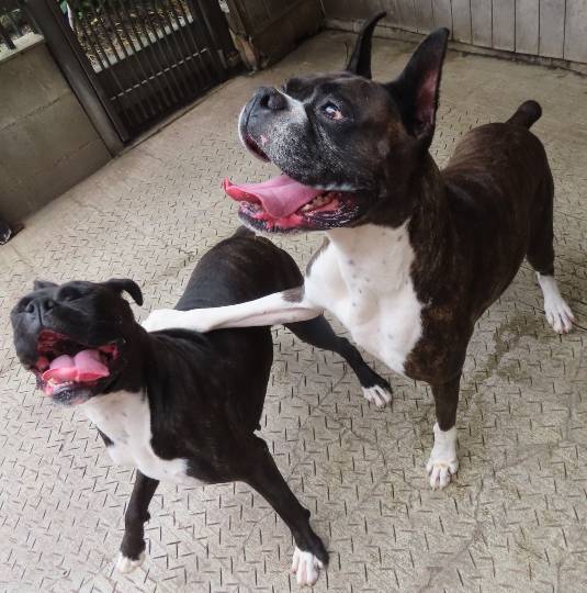 生き物ルーム第44