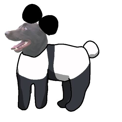 生き物ルーム第45