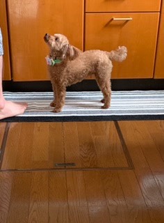 生き物ルーム第45